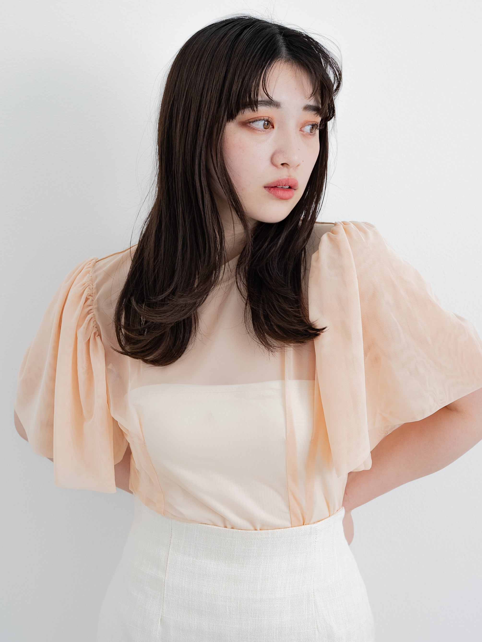 sheer tuck top / pink beige
